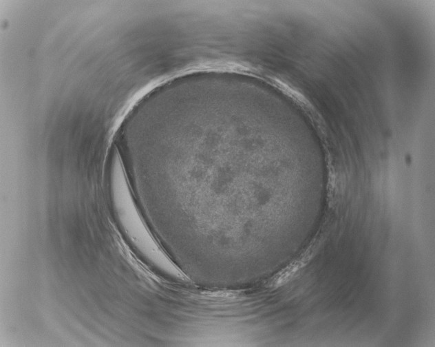 X0000056331272200509092319