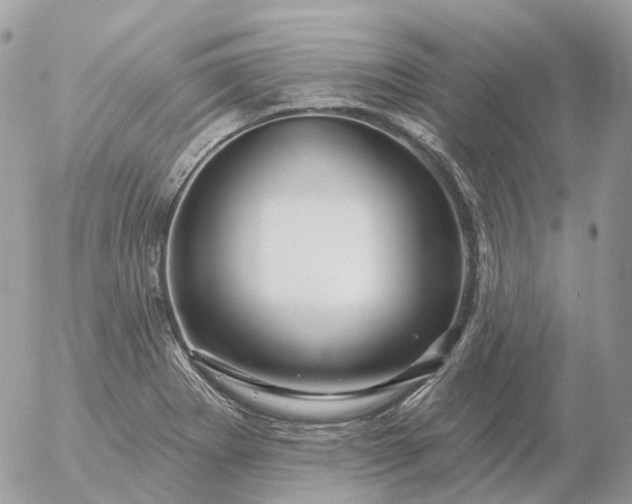 X0000056331273200509092319