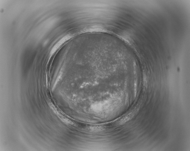 X0000056331274200509092319