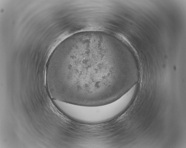 X0000056331276200509092319