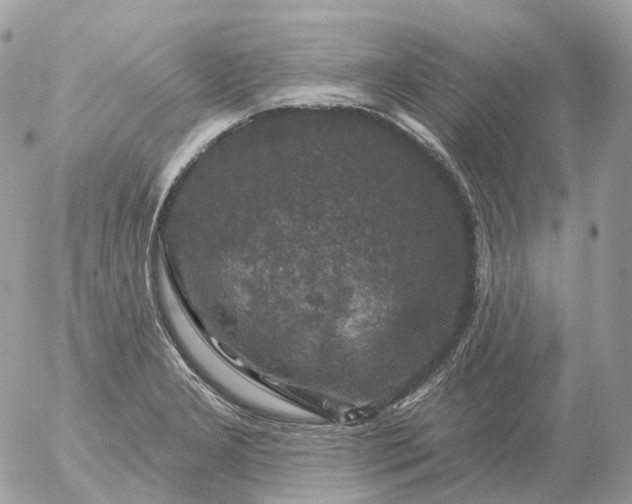 X0000056331277200509092319