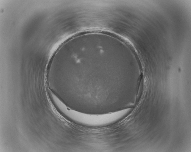 X0000056331279200509092319