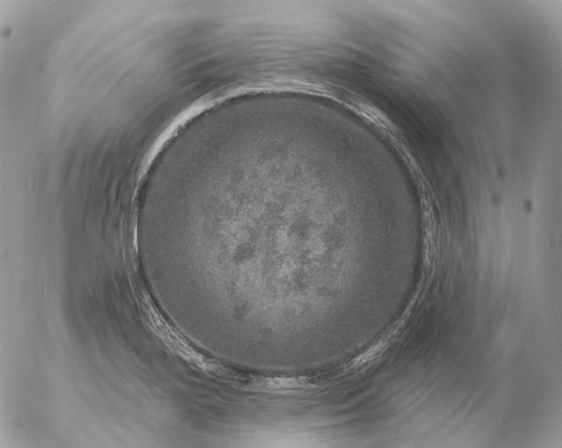 X0000056331280200509092319