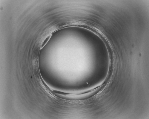 X0000056331281200509092319