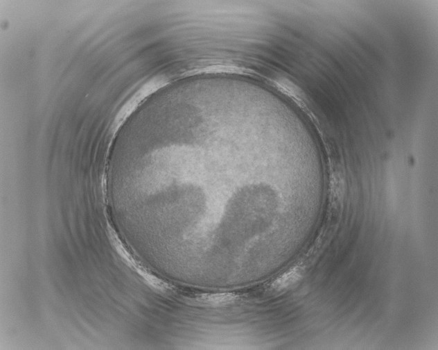 X0000056331282200509092319