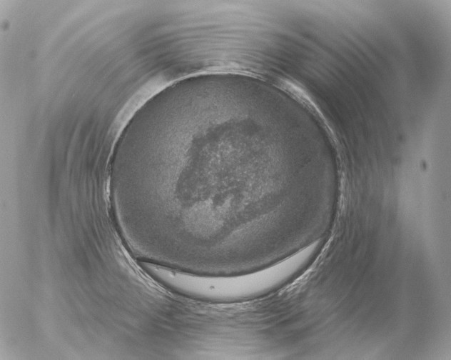 X0000056331284200509092319