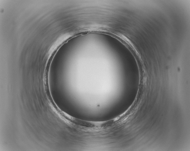 X0000056331285200509092319