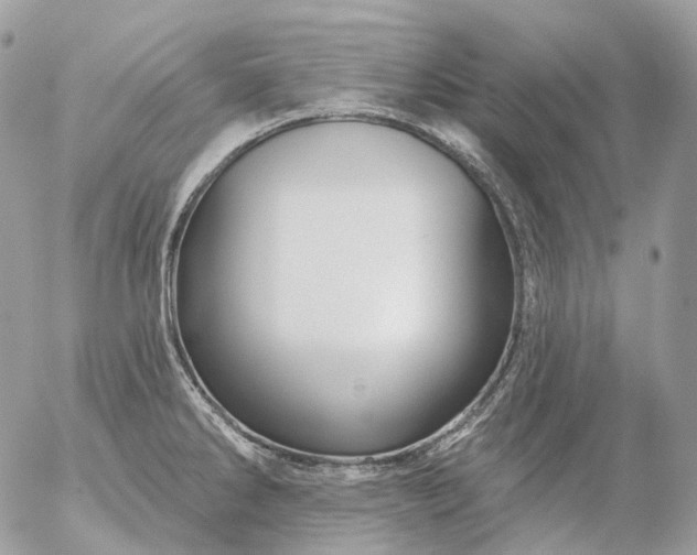 X0000056331286200509092319