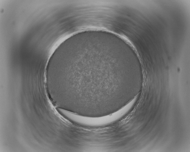 X0000056331287200509092319