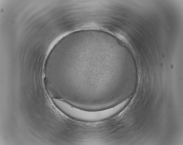 X0000056331288200509092319