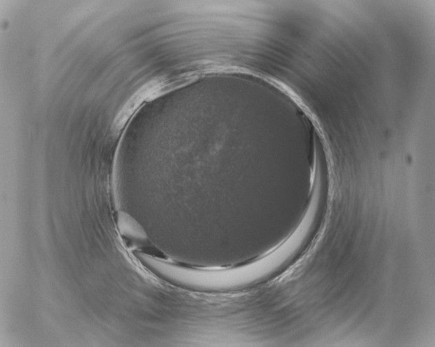 X0000056331289200509092319