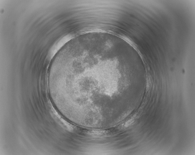 X0000056331290200509092319