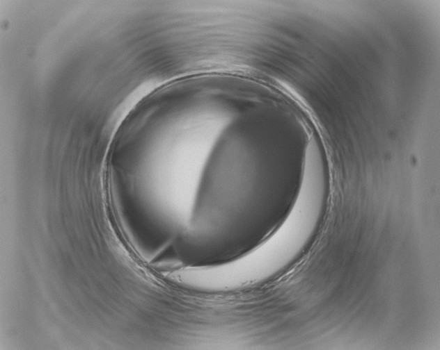 X0000056331291200509092319