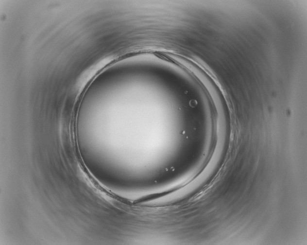 X0000056331293200509092319