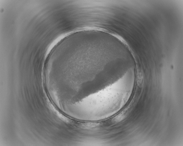 X0000056331294200509092319