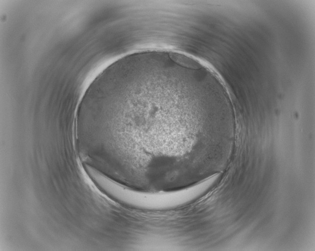 X0000056331295200509092319