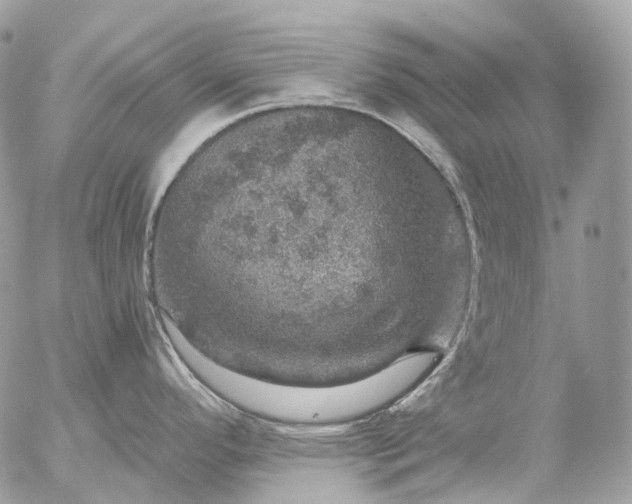 X0000056331296200509092319