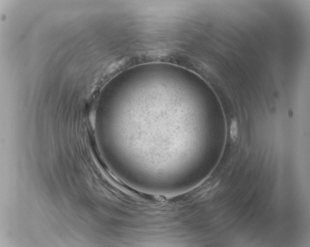 X0000056331299200509092318