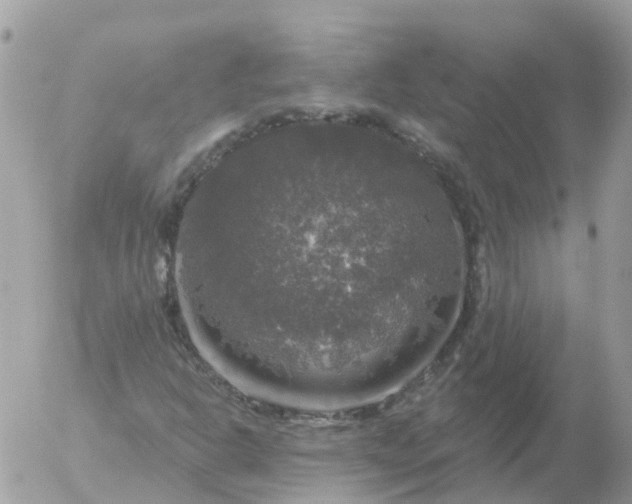 X0000056331302200509092318