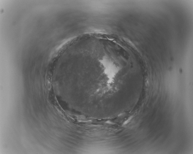 X0000056331303200509092318