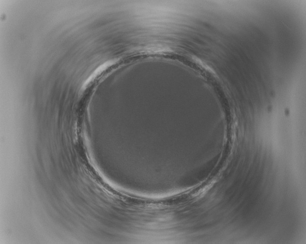 X0000056331306200509092318