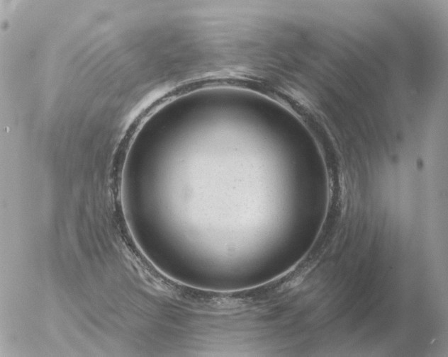 X0000056331308200509092318