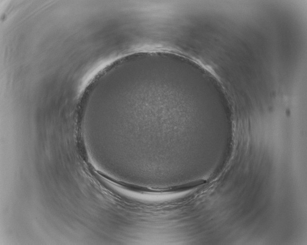 X0000056331311200509092318