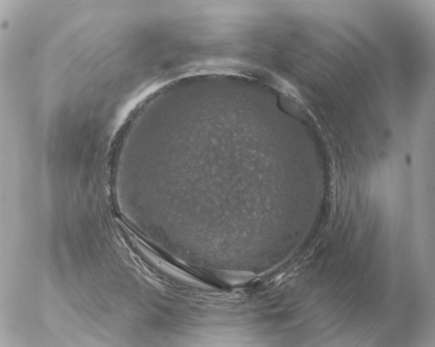 X0000056331312200509092318