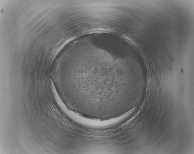 X0000056331313200509092318