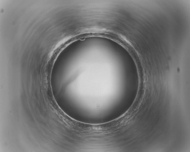 X0000056331315200509092318