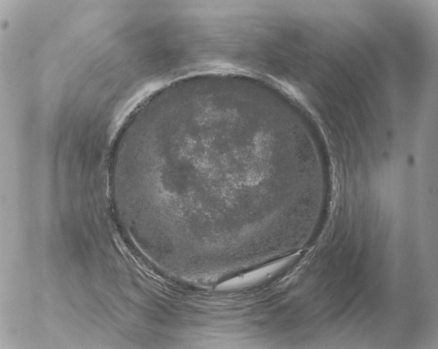 X0000056331318200509092318