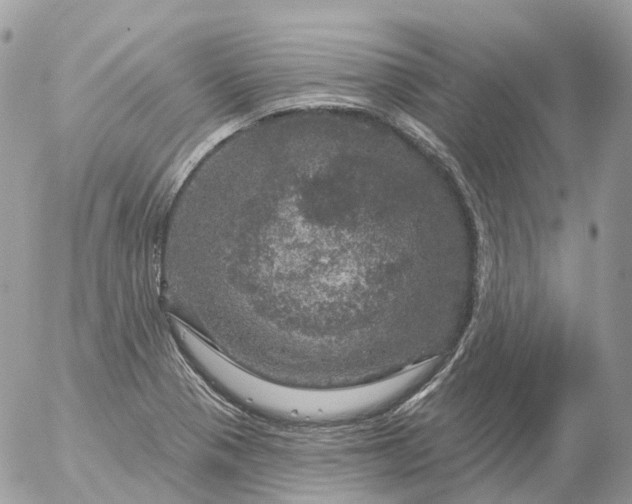 X0000056331321200509092318