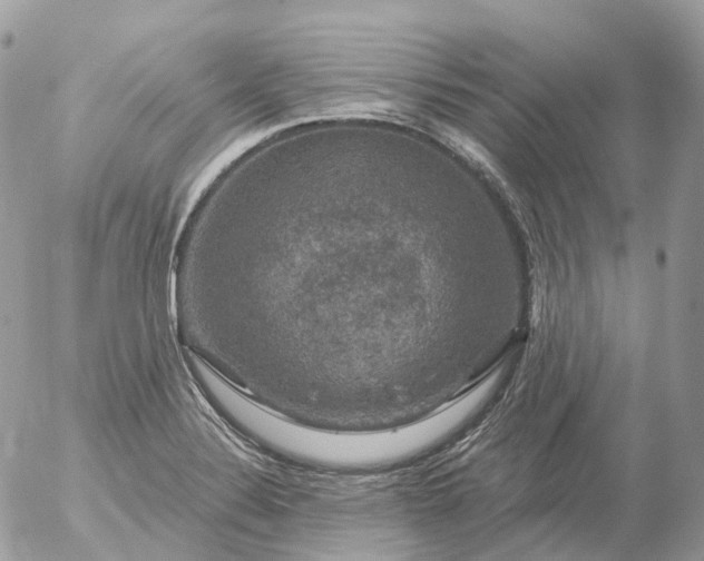 X0000056331324200509092318