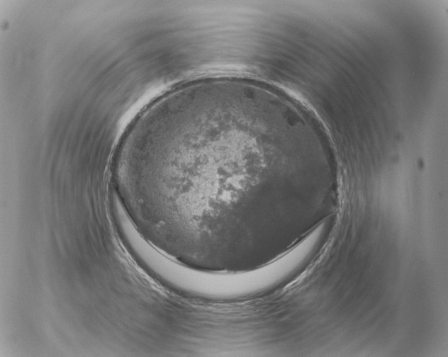 X0000056331325200509092318