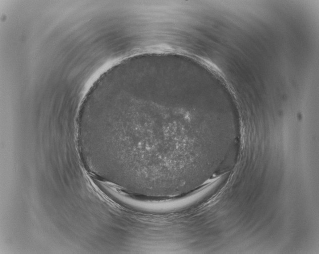 X0000056331326200509092318