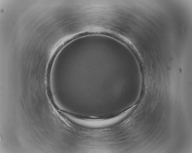 X0000056331327200509092318