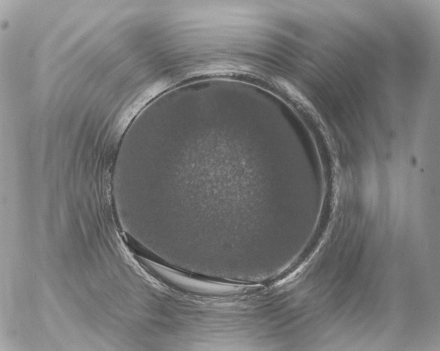 X0000056331329200509092318