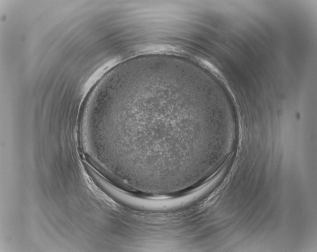 X0000056331330200509092318