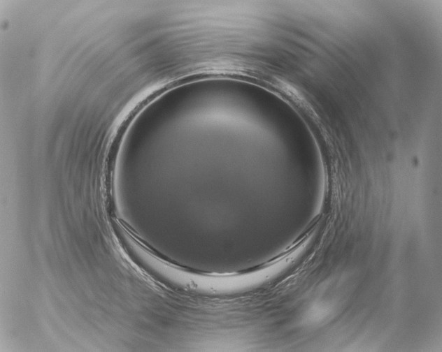 X0000056331331200509092318