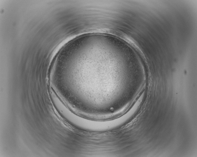 X0000056331332200509092318