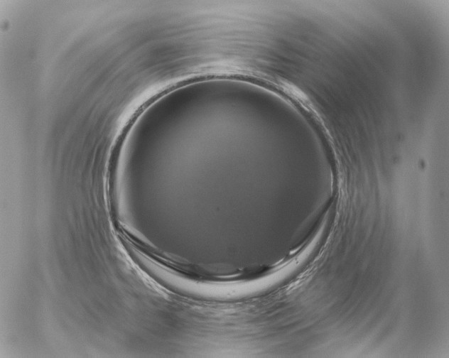 X0000056331334200509092318