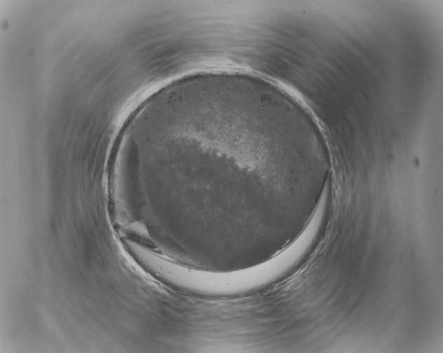 X0000056331335200509092318