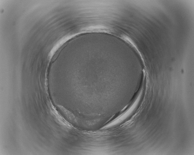 X0000056331336200509092318