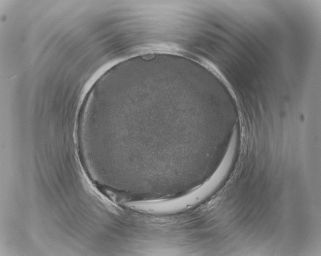 X0000056331339200509092319