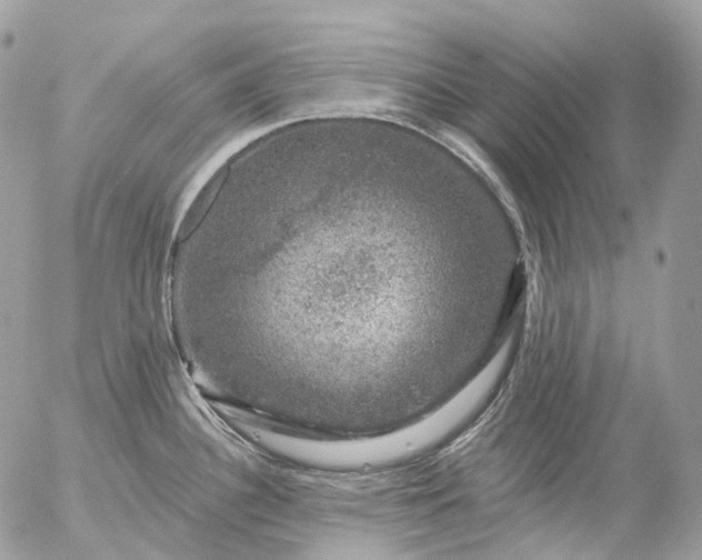 X0000056331340200509092319