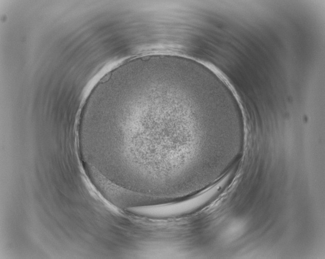 X0000056331341200509092319