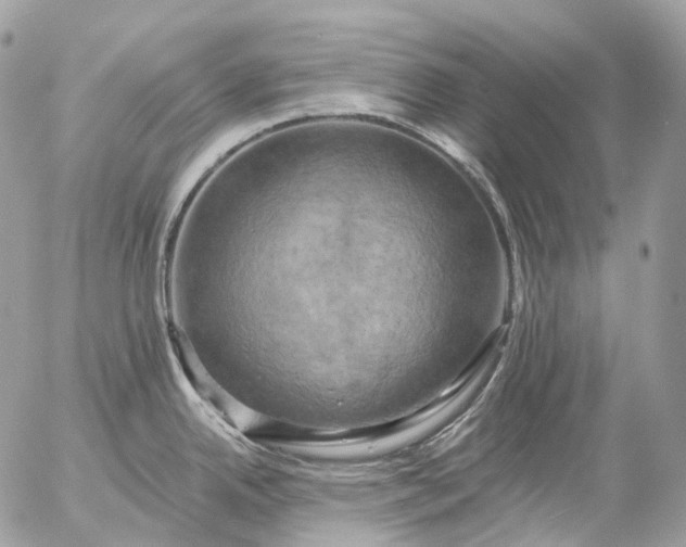 X0000056331342200509092319