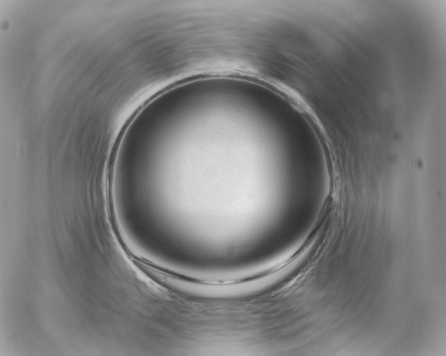 X0000056331343200509092319