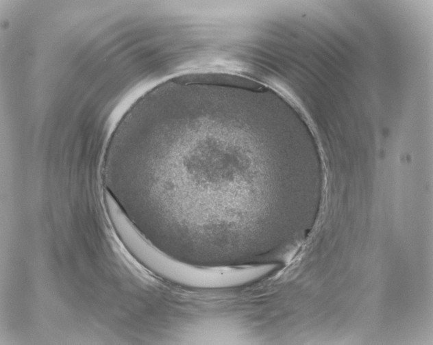 X0000056331344200509092319