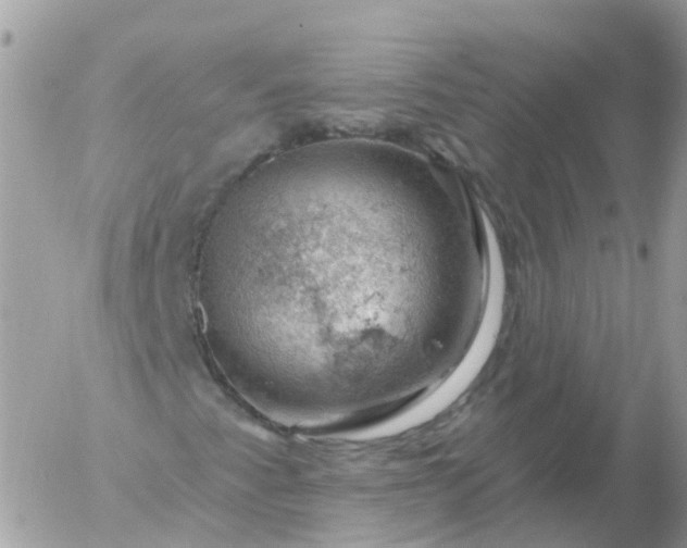 X0000056331345200509092318